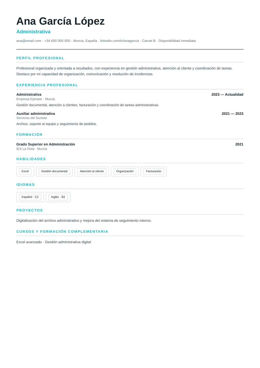 Vista previa del ejemplo de CV Clásica Profesional
