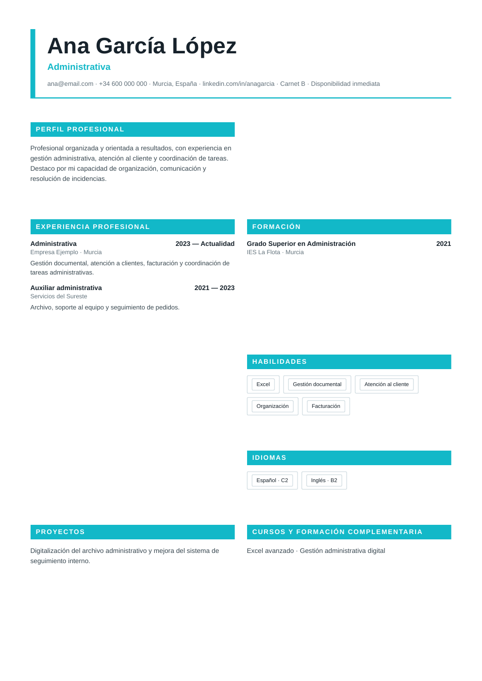 Vista previa del ejemplo de CV Marketing Pro