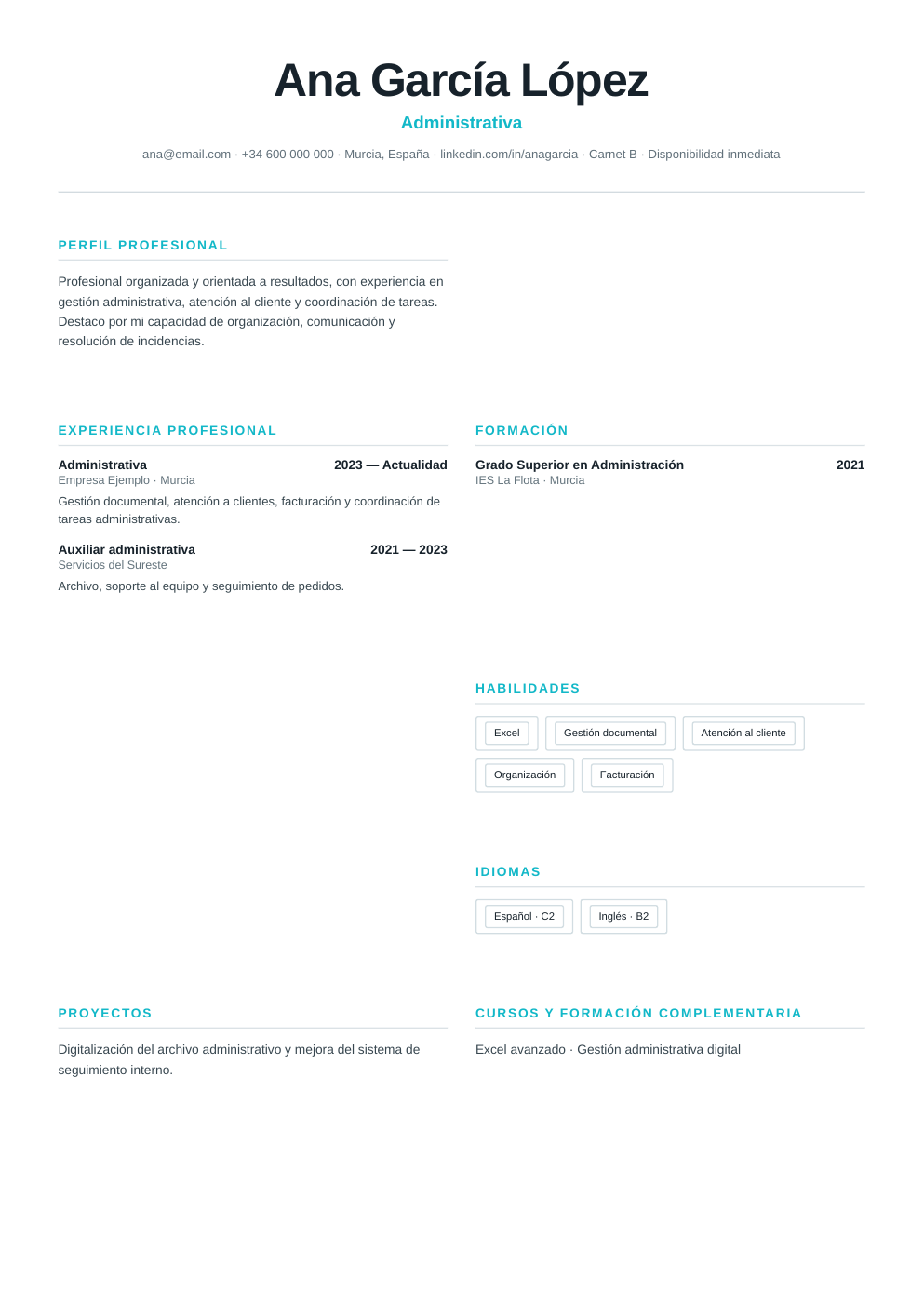 Vista previa del ejemplo de CV Finanzas
