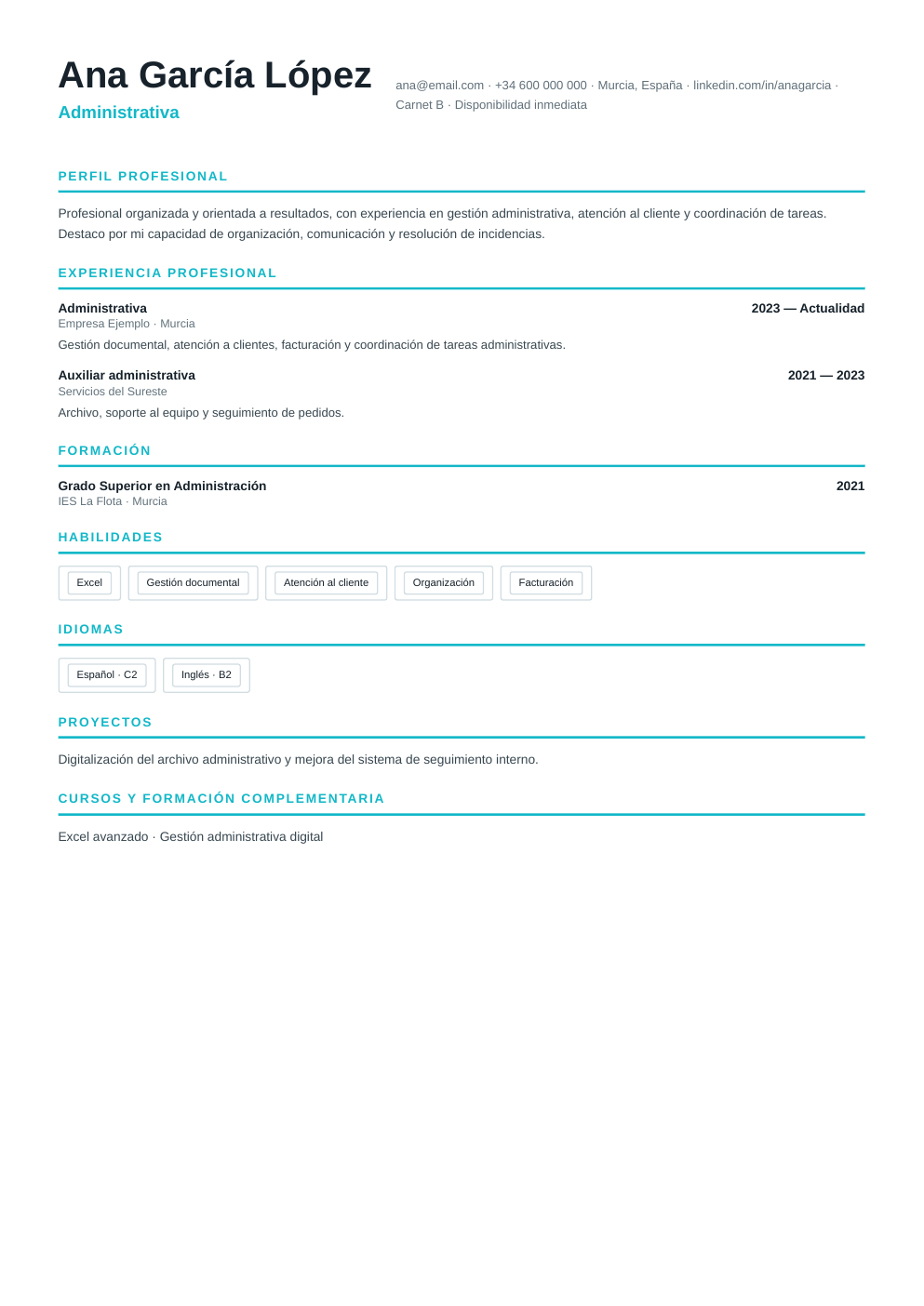 Vista previa del ejemplo de CV Salud Profesional
