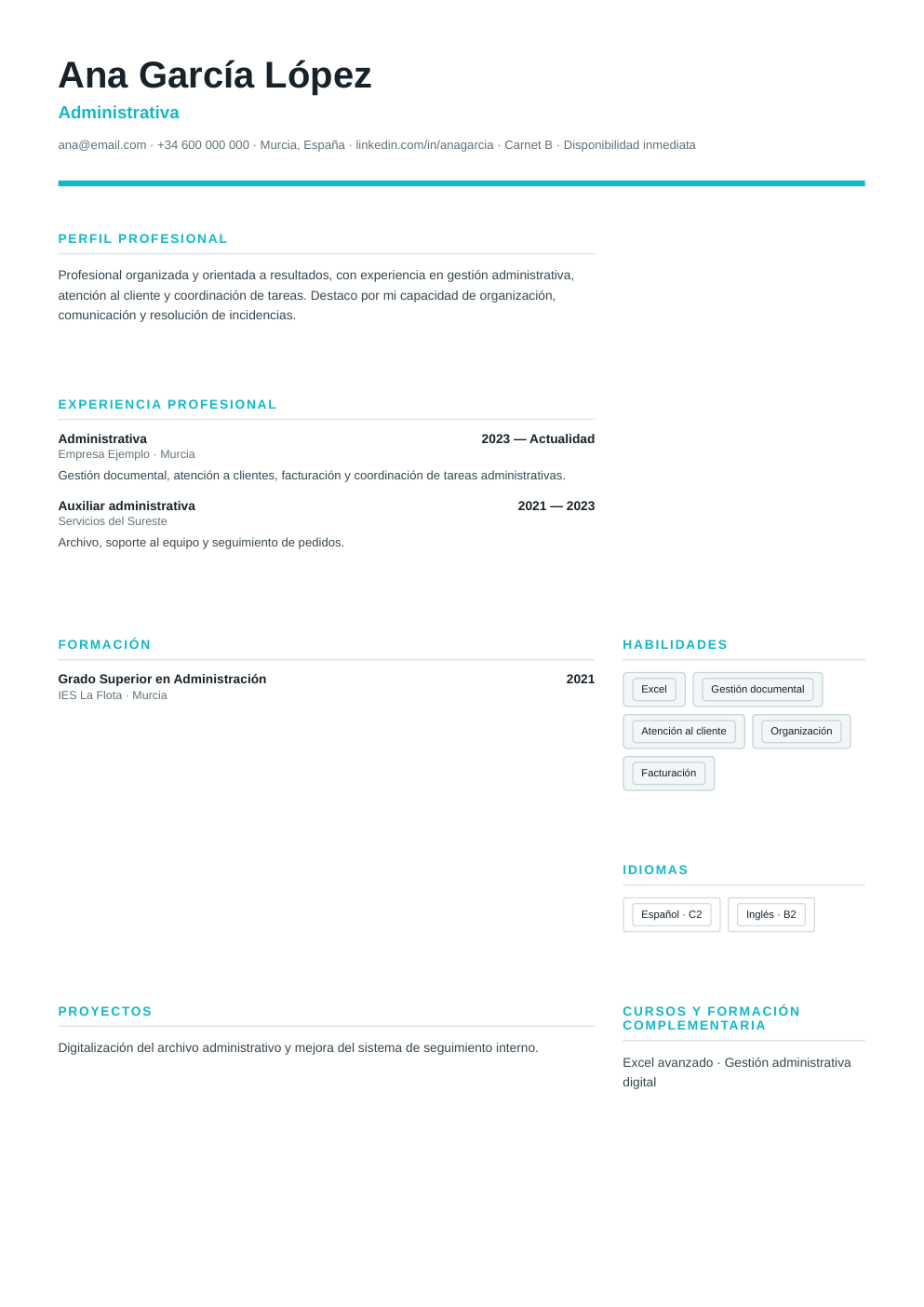Vista previa del ejemplo de CV Ventas
