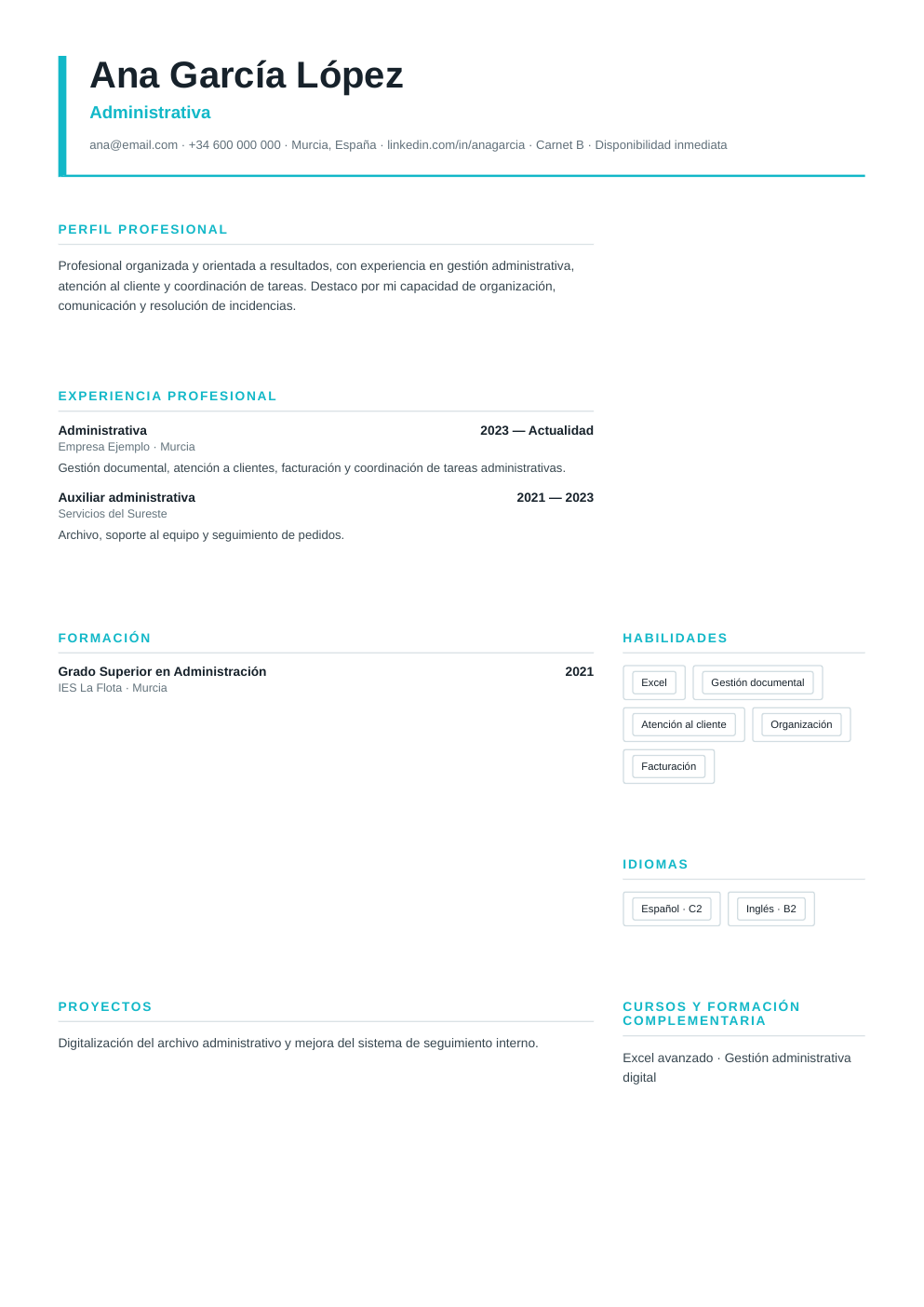Vista previa del ejemplo de CV Consultor de Operaciones