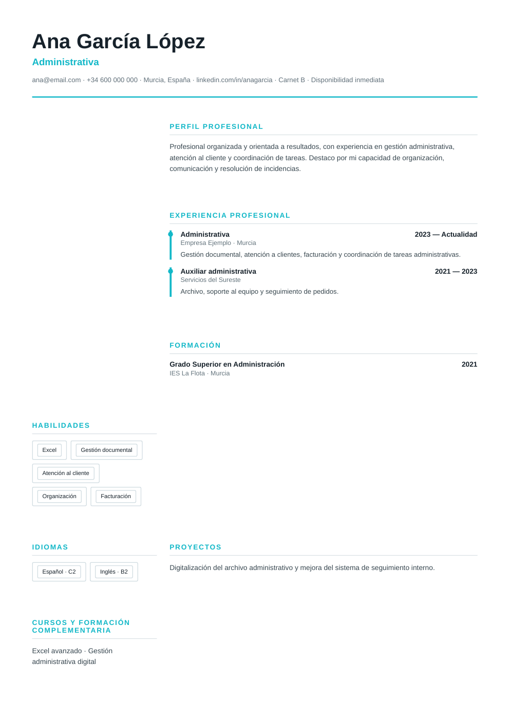 Vista previa del ejemplo de CV Timeline