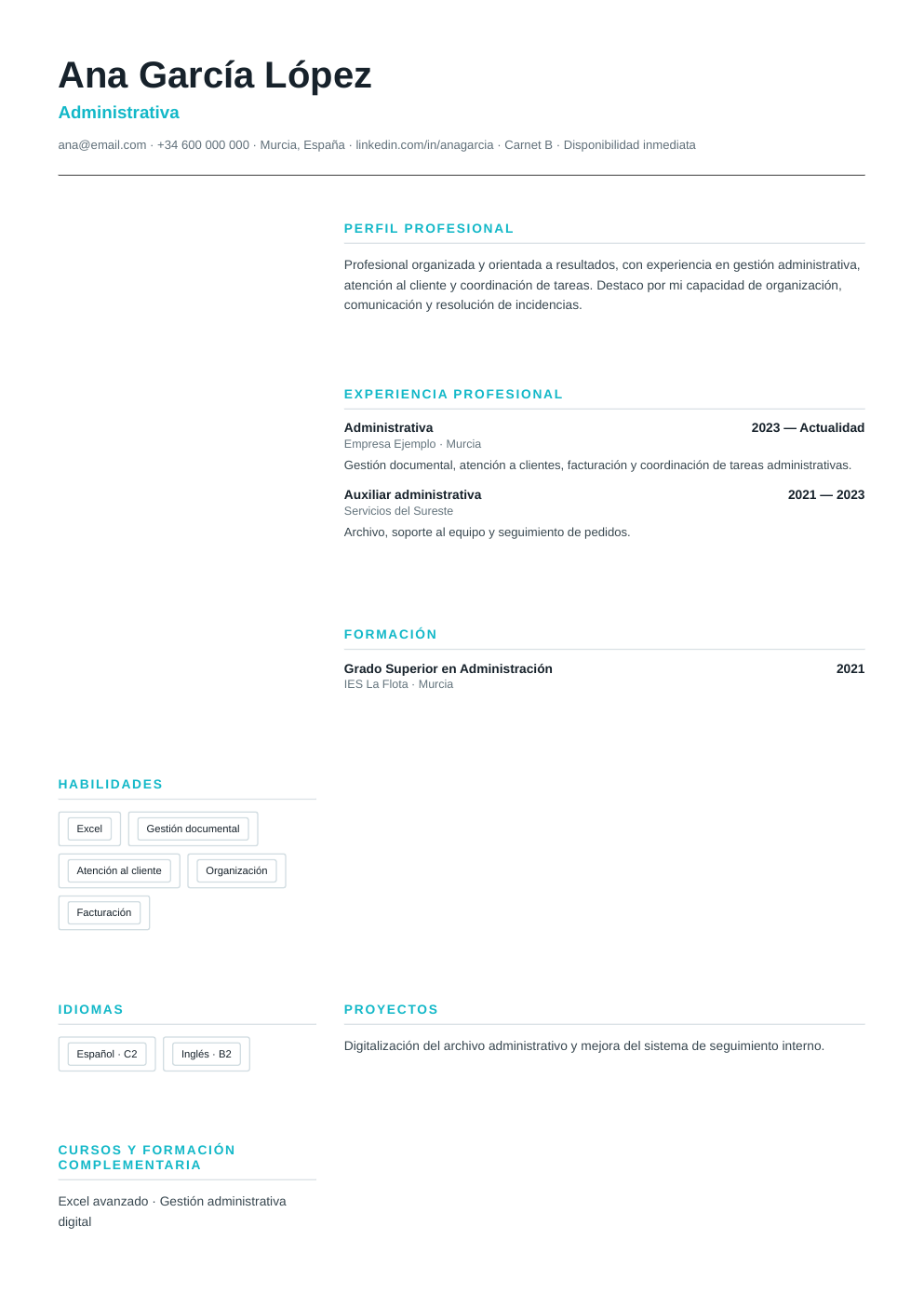Vista previa del ejemplo de CV Visual Pro