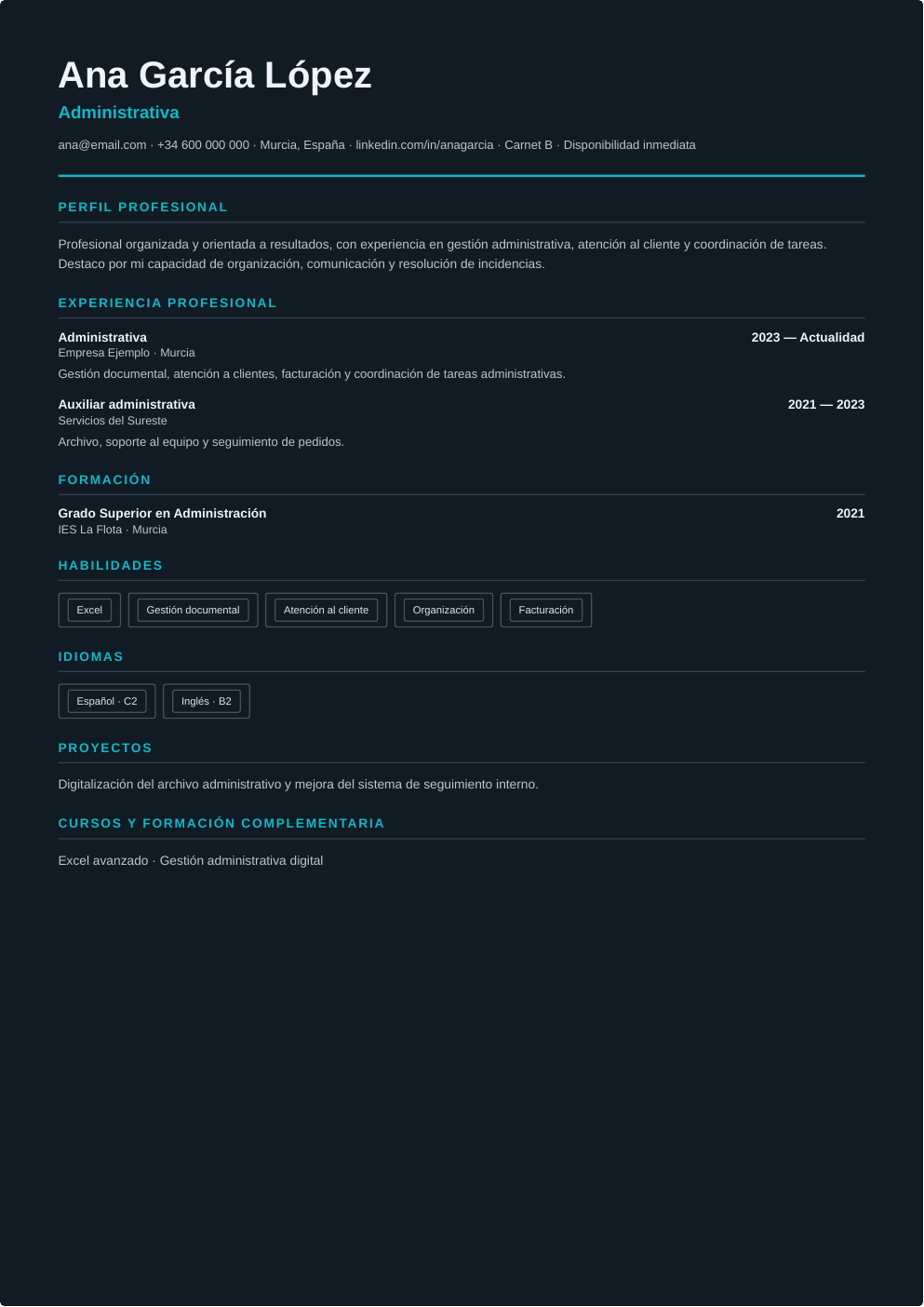 Vista previa de Premium Dark