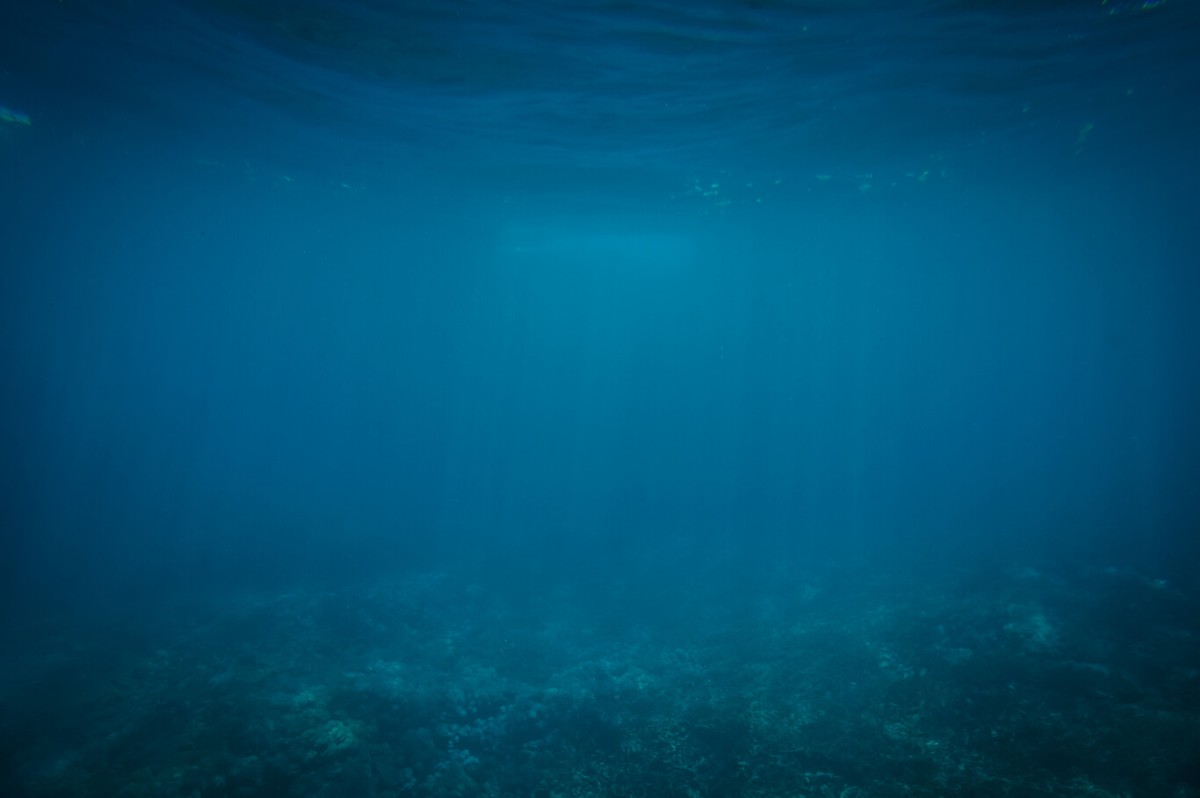 Image From Rawpixel Id 3282354 Original