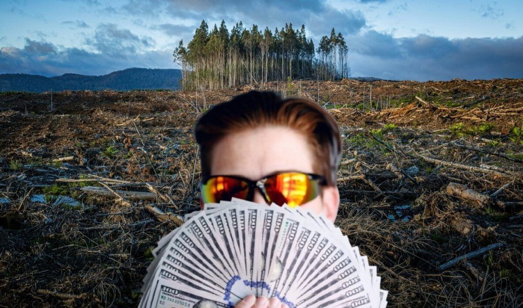 La imagen actual no tiene texto alternativo. El nombre del archivo es: TECNOPUNTA-131-51.jpg