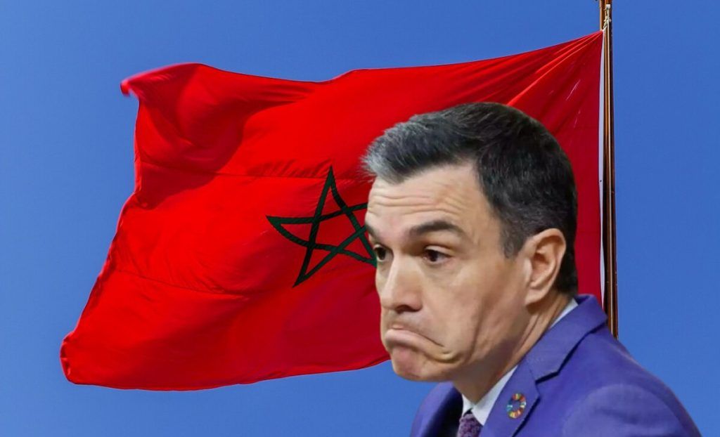 La imagen actual no tiene texto alternativo. El nombre del archivo es: TECNOPUNTA-131-84.jpg