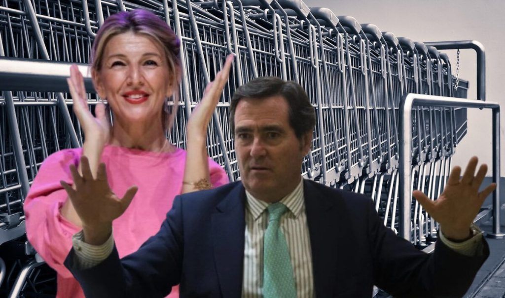 La imagen actual no tiene texto alternativo. El nombre del archivo es: TECNOPUNTA-133-20.jpg