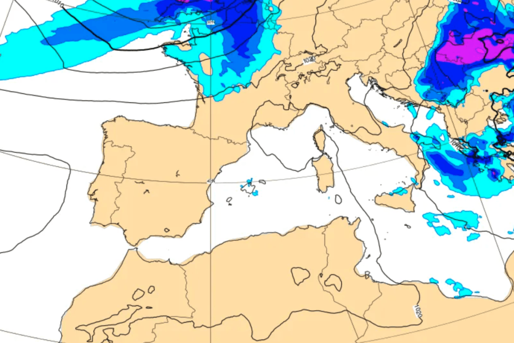La imagen actual no tiene texto alternativo. El nombre del archivo es: TECNOPUNTA-167.png