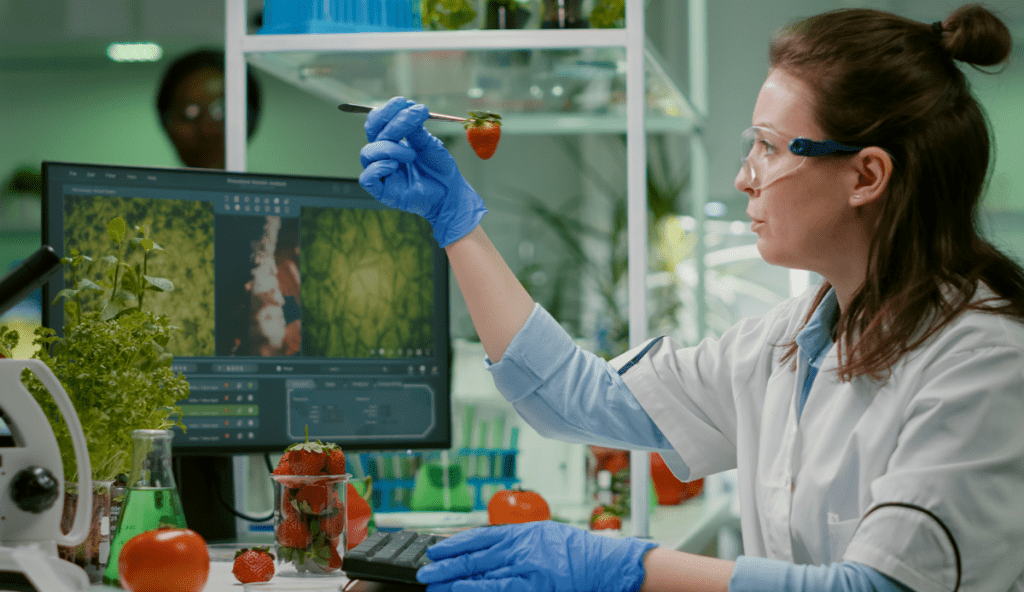 La imagen actual no tiene texto alternativo. El nombre del archivo es: TECNOPUNTA-249.png