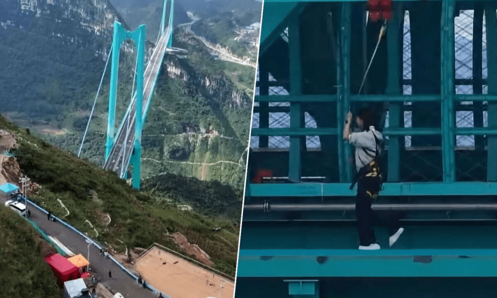 La imagen actual no tiene texto alternativo. El nombre del archivo es: TECNOPUNTA-256.png