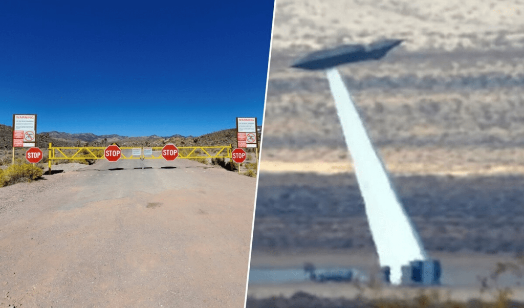 La imagen actual no tiene texto alternativo. El nombre del archivo es: TECNOPUNTA-264.png