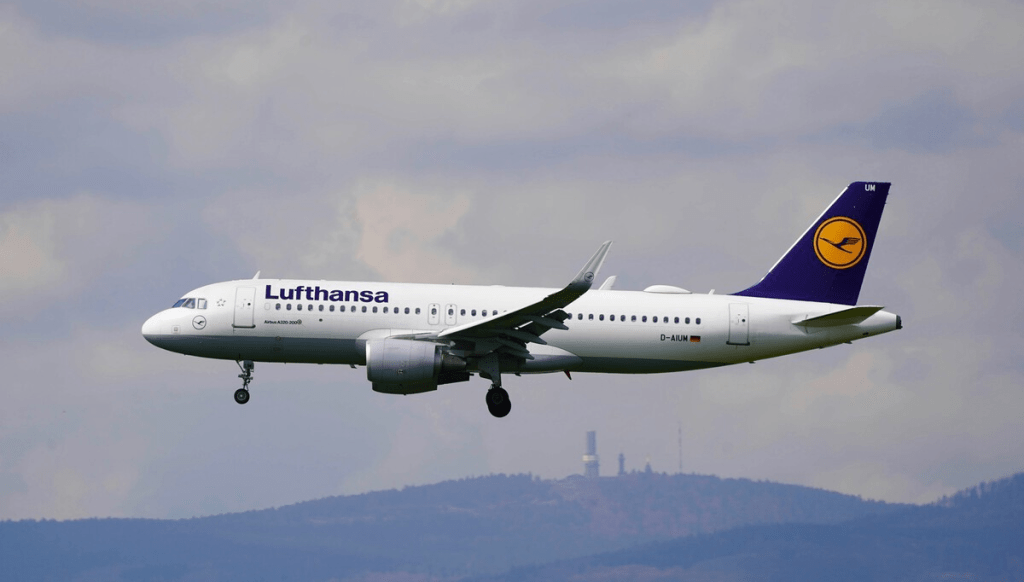 La imagen actual no tiene texto alternativo. El nombre del archivo es: TECNOPUNTA-393.png