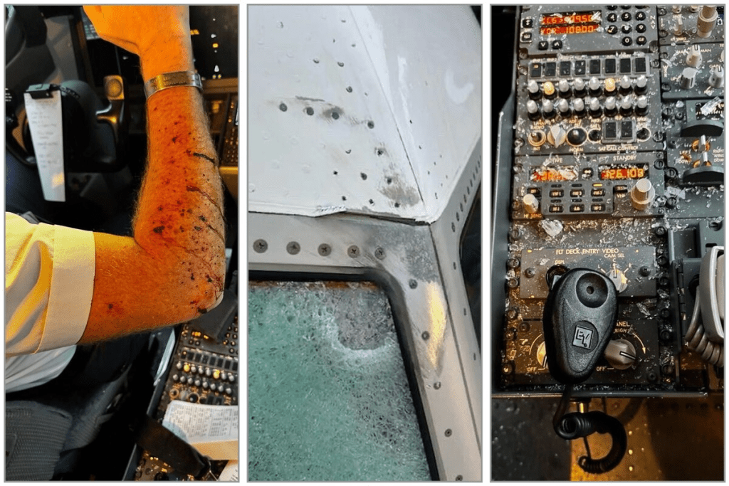 La imagen actual no tiene texto alternativo. El nombre del archivo es: TECNOPUNTA-448.png