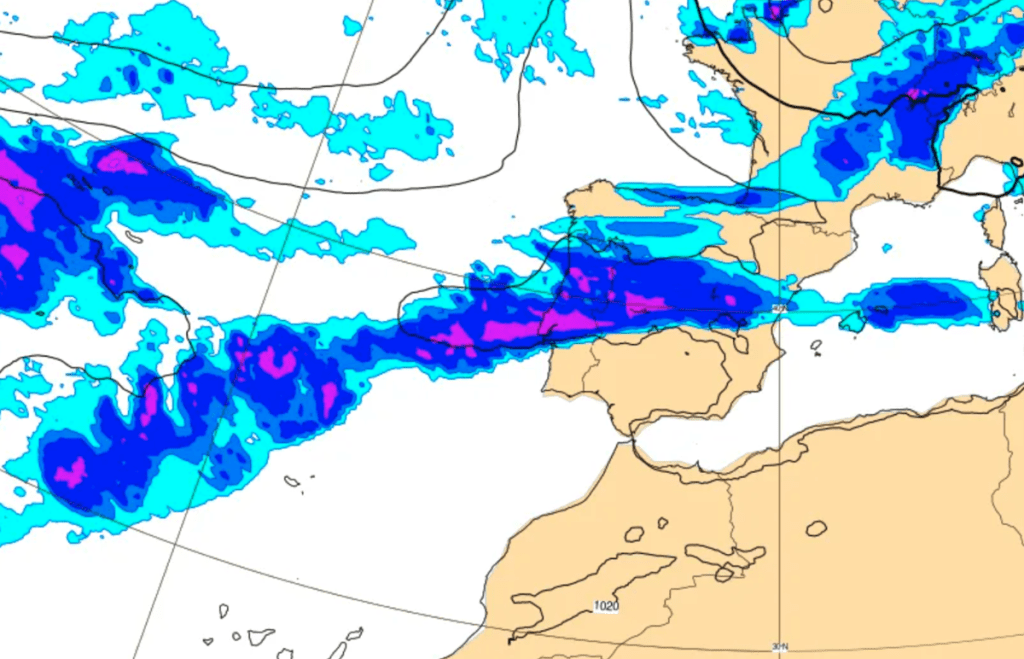 La imagen actual no tiene texto alternativo. El nombre del archivo es: TECNOPUNTA-471.png