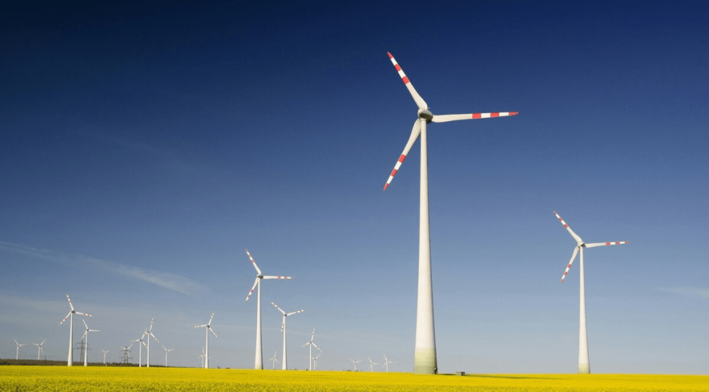 La imagen actual no tiene texto alternativo. El nombre del archivo es: TECNOPUNTA-97.png