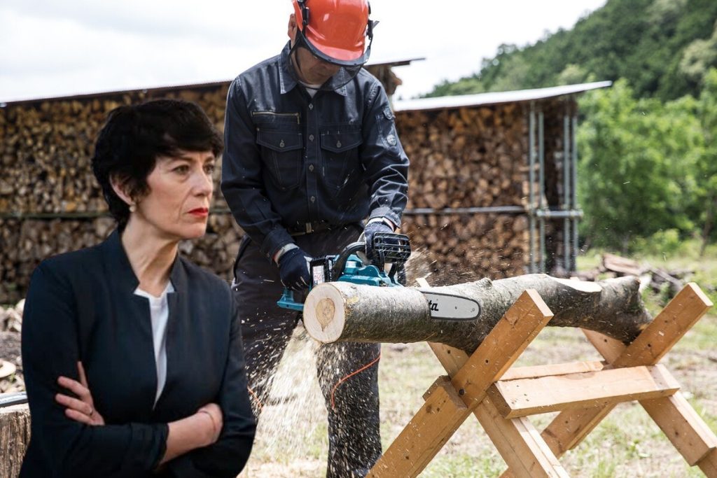 La imagen actual no tiene texto alternativo. El nombre del archivo es: f48iws2r.jpg