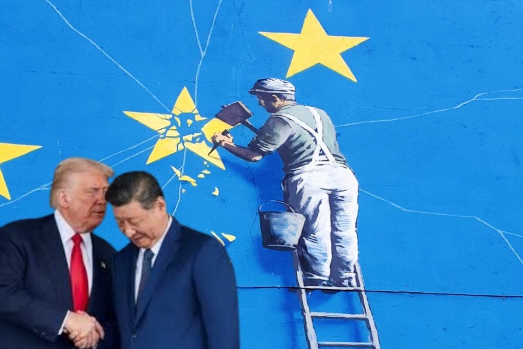La imagen actual no tiene texto alternativo. El nombre del archivo es: fwsmuwtn.jpg