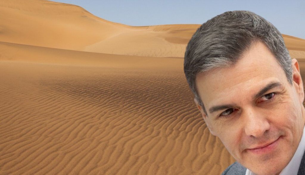 La imagen actual no tiene texto alternativo. El nombre del archivo es: j13wzzw4.jpg